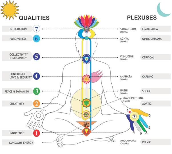 Chakras en en el cuerpo humano